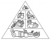 Pirámide alimenticia para colorear