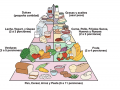 ¿Quién creó la primera pirámide alimenticia?