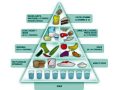 Características de la pirámide alimenticia
