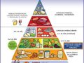 Pirámide alimenticia de España