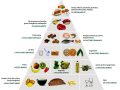 Ventajas y desventajas de la pirámide alimenticia